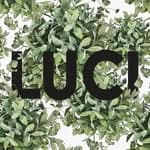 Logotipo da Luci Moda e Conforto